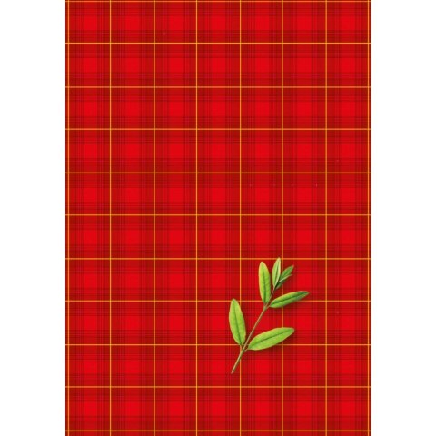 Kreska Brulion A6 60k. krata Kreska