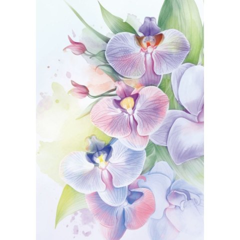 Kreska Brulion A6 60k. krata Kreska