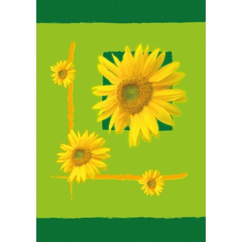 Kreska Brulion A7 64k. krata [mm:] 105x75 Kreska