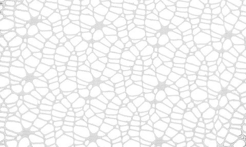 Titanum Ozdoba materiałowa Craft-Fun Series siatka koronkowa biała Titanum (25CR0331-14)