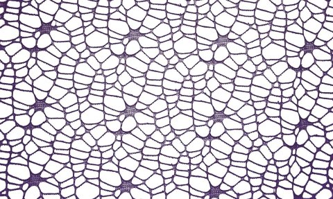 Titanum Ozdoba materiałowa Craft-Fun Series siatka koronkowa fioletowa Titanum (25CR0331-20)