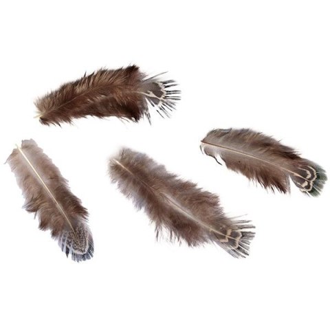 Titanum Piórka Craft-Fun Series 3g brązowy Titanum (A19HT018)