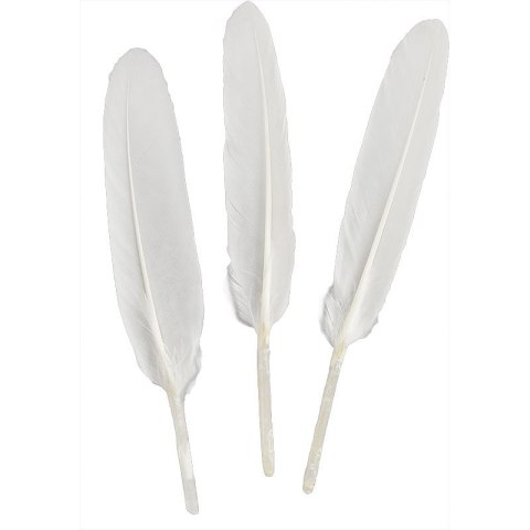 Titanum Piórka Craft-Fun Series białe 50 szt Titanum (lotki)