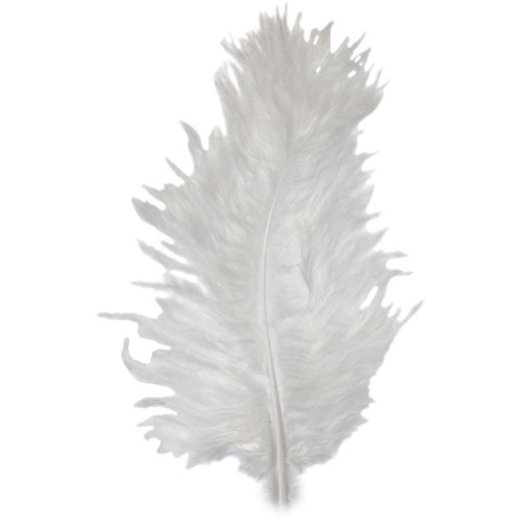 Titanum Piórka Craft-Fun Series białe 50 szt Titanum