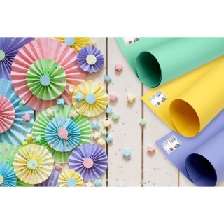 TOP-2000 Brystol purpurowy A1 purpurowy 160g [mm:] 610x860 TOP-2000 (400149563)