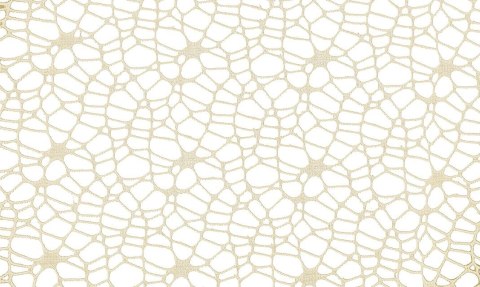 Titanum Ozdoba materiałowa Craft-Fun Series siatka koronkowa kremowa Titanum (25CR0331-16)