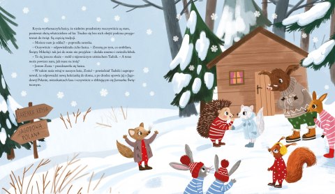 Aksjomat Książka dla dzieci Zimowa zagadka jeżyka Tadzika Aksjomat