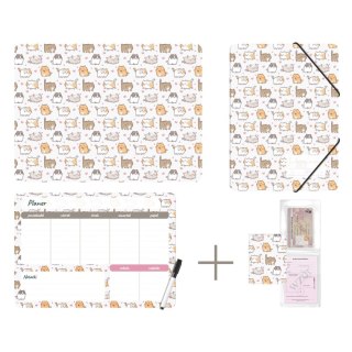 Biurfol Zestaw szkolny Kittens 4 el. Biurfol (KPL-NADRUK-01-35)