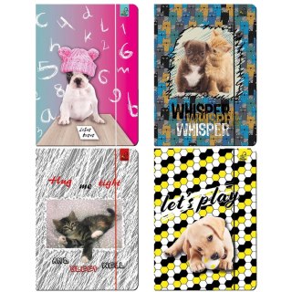 Ev-corp Teczka kartonowa na gumkę A4 Best Friend zwierzaki mix A4 mix Ev-corp (TA4BF2)