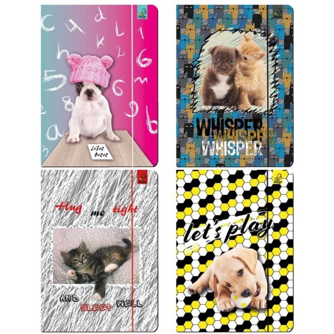 Ev-corp Teczka kartonowa na gumkę A4 Best Friend zwierzaki mix A4 mix Ev-corp (TA4BF2)