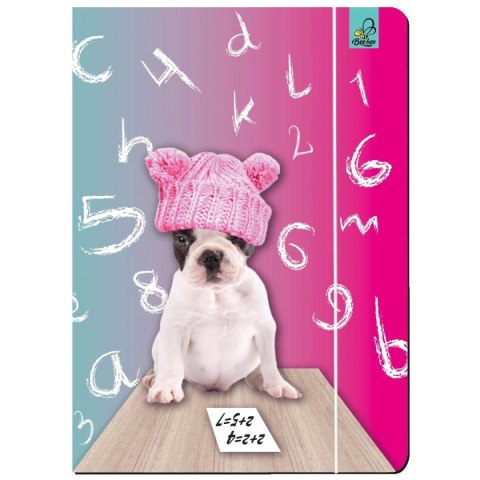 Ev-corp Teczka kartonowa na gumkę A4 Best Friend zwierzaki mix A4 mix Ev-corp (TA4BF2)