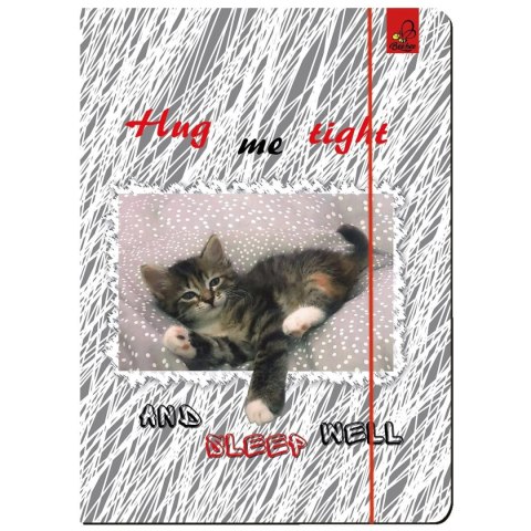 Ev-corp Teczka kartonowa na gumkę A4 Best Friend zwierzaki mix A4 mix Ev-corp (TA4BF2)