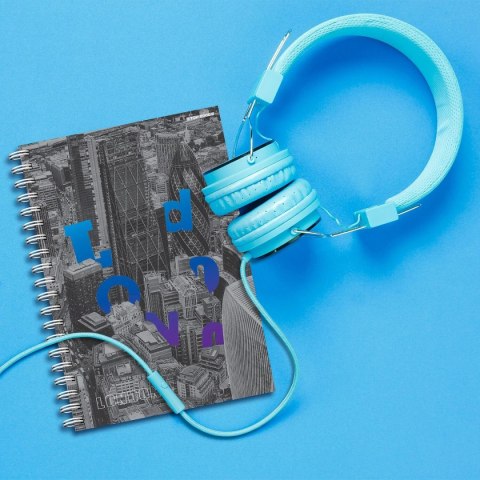 TOP-2000 Kołozeszyt (kołonotatnik) City A5 100k. 70g krata TOP-2000 (400169509)