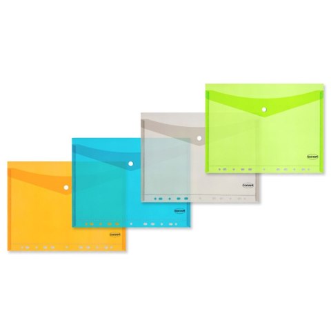 Centrum Teczka plastikowa Centrum (0452-2709-99)