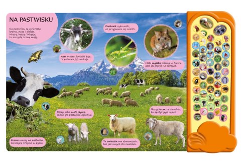 Morex Książka dla dzieci dźwiękowa na wsi Morex