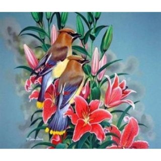 Norimpex Zestaw kreatywny malowanie po numerach - ptaszki na gałązce Norimpex (NO-1005644)