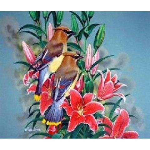 Norimpex Zestaw kreatywny malowanie po numerach - ptaszki na gałązce Norimpex (NO-1005644)