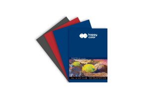 Happy Color Blok artystyczny Do pasteli Blok do pasteli 3 kolory po 8 kartek A4 160g 24k Happy Color (HA 7816 2030-A24)