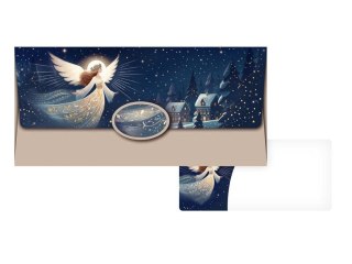 Koperta specjalnego przeznaczenia na pieniądze [mm:] 180x90 (5560089)