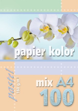 Kreska Papier kolorowy A4 mix 160g Kreska
