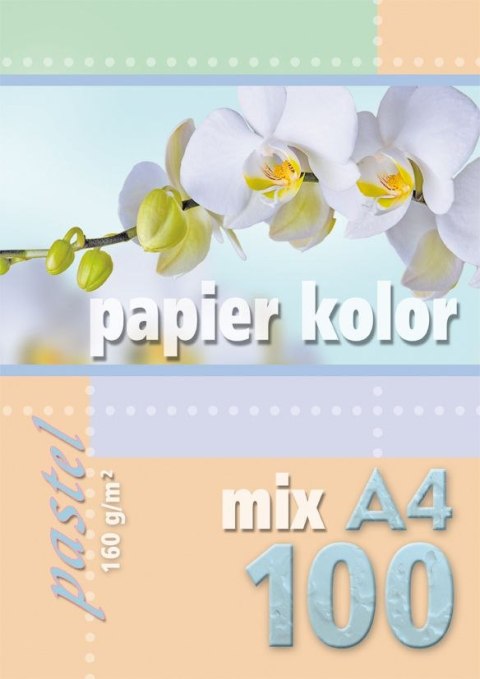 Kreska Papier kolorowy A4 mix 160g Kreska