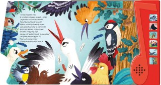 Morex Książka dla dzieci dźwiękowa Ptasie Radio Morex