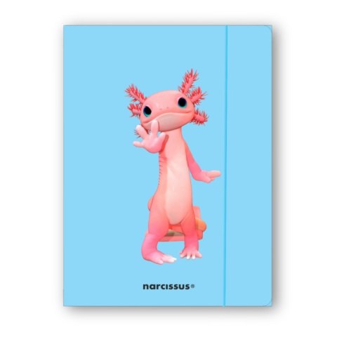 Narcissus Teczka kartonowa na gumkę Teddies& Aksolotl A4 niebieski 270g Narcissus