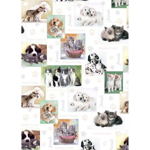 Pol-mak Papier ozdobny mix [mm:] 700x1000 Pol-mak