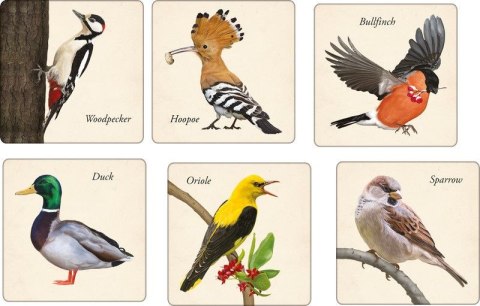 Adamigo Gra pamięciowa MEMORY ptaki memory Adamigo