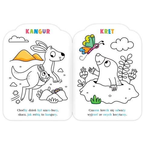 Aksjomat Książka dla dzieci Malowanki rymowanki z lewkiem. Czytam sylabami i koloruję Aksjomat