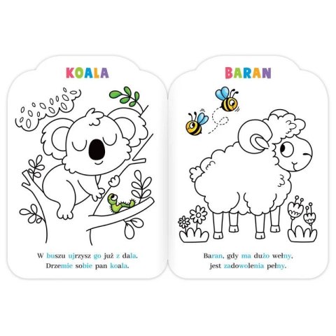 Aksjomat Książka dla dzieci Malowanki rymowanki z misiem. Czytam sylabami i koloruję Aksjomat