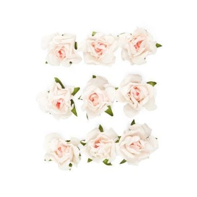 Argo Kwiaty róże Argo (252041)