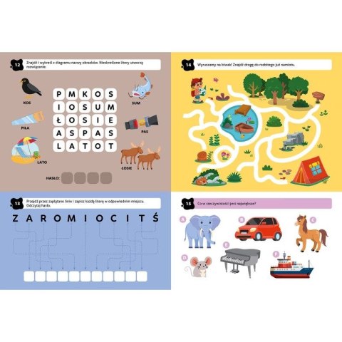 Aksjomat Książka dla dzieci 100 ciekawych łamigłówek Aksjomat