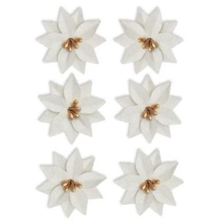 Argo Kwiaty poinsecja Argo (252038)