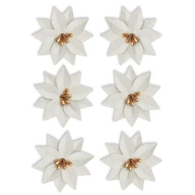 Argo Kwiaty poinsecja Argo (252038)