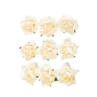 Argo Kwiaty róże Argo (252040)