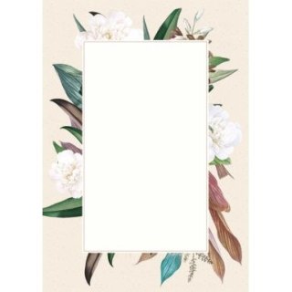 Galeria Papieru Dyplom camellia A4 170g Galeria Papieru (219817)