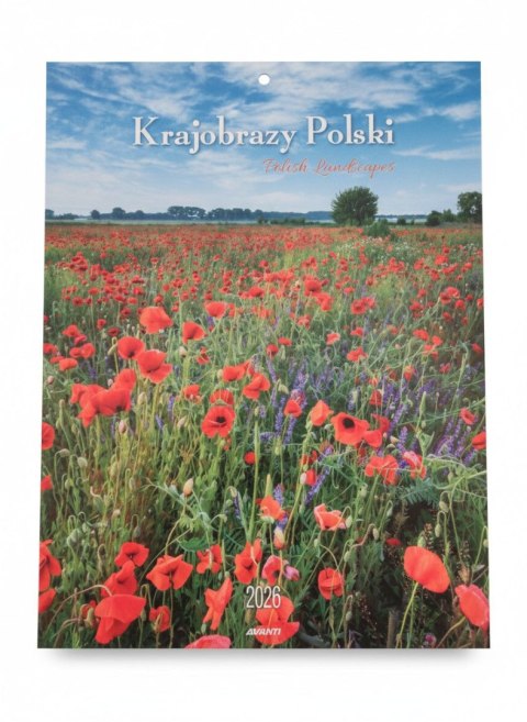 Avanti Kalendarz ścienny MAŁY Krajobrazy 230mm x 305mm Avanti (KSM-1)