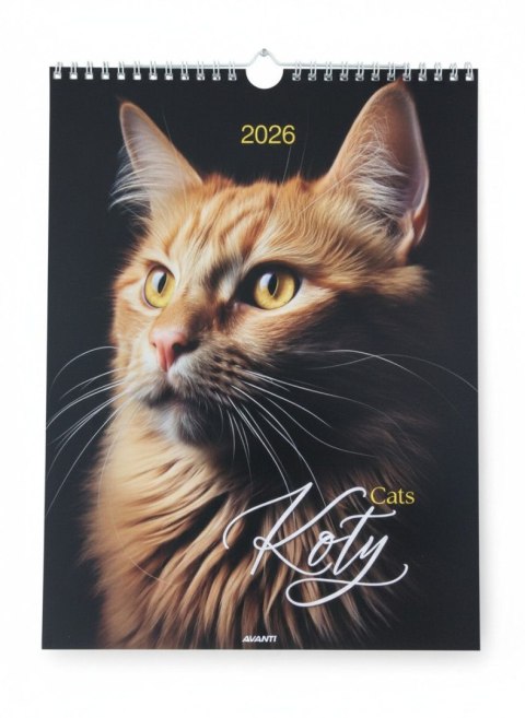 Avanti Kalendarz ścienny MAŁY SPIRALA KOTY 230mm x 305mm Avanti (KSMS-4)