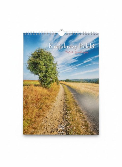 Avanti Kalendarz ścienny MAŁY SPIRALA Krajobrazy 230mm x 305mm Avanti (KSMS-1)