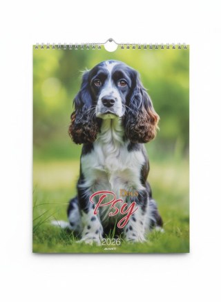 Avanti Kalendarz ścienny MAŁY SPIRALA PSY 230mm x 305mm Avanti (KSMS-3)