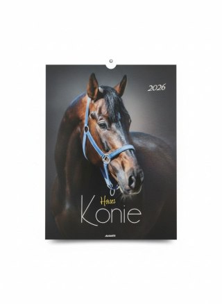 Avanti Kalendarz ścienny MAŁY wieloplanszowy 230mm x 320mm Avanti (KSM-5)