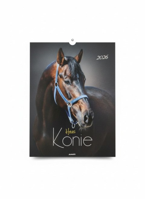 Avanti Kalendarz ścienny MAŁY wieloplanszowy 230mm x 320mm Avanti (KSM-5)