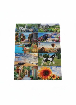 Avanti Kalendarz ścienny mix 310mm x 680mm Avanti (5901769620575)