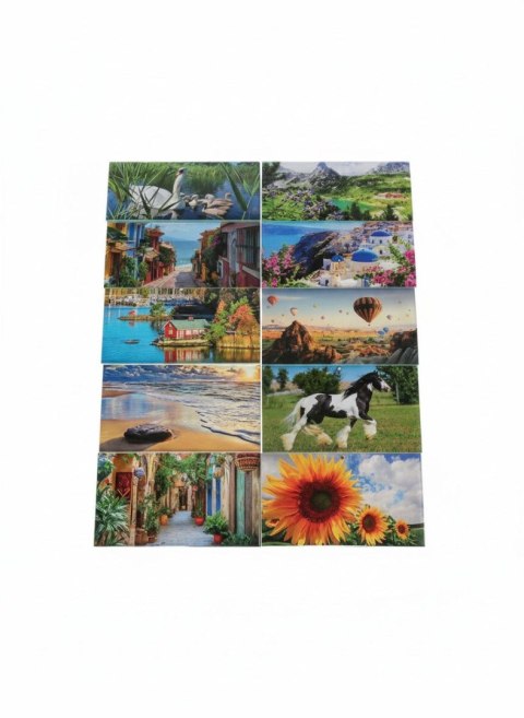 Avanti Kalendarz ścienny mix 310mm x 680mm Avanti (5901769620575)