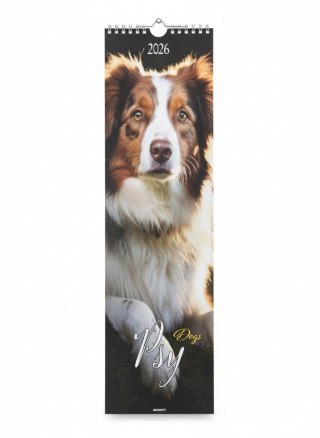 Avanti Kalendarz ścienny paskowy Psy 130mm x 460mm Avanti (KP-1)
