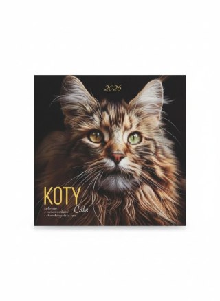 Avanti Kalendarz ścienny wieloplanszowy 300mm x 300mm Avanti (KAD-9)