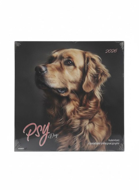 Avanti Kalendarz ścienny wieloplanszowy 300mm x 600mm Avanti (KAD-10)