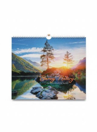 Avanti Kalendarz ścienny wieloplanszowy 330mm x 330mm Avanti (KD-9)