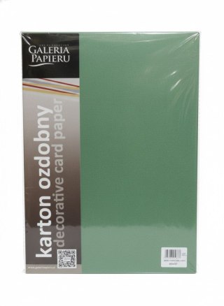 Galeria Papieru Papier ozdobny (wizytówkowy) Earth A4 Zielony 220g Galeria Papieru (204707)